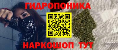 прущие крисы Будённовск