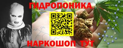прущие крисы Будённовск