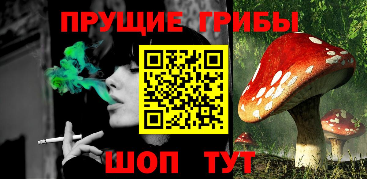 Псилоцибиновые грибы GOLDEN TEACHER Лабинск